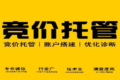 网络推广竞价策略大揭秘：以一则热门广告为例